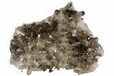 Dark Smoky Quartz Crystal Cluster - Brazil #84855-1